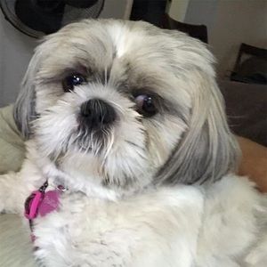 Meet your Posher, Cathy